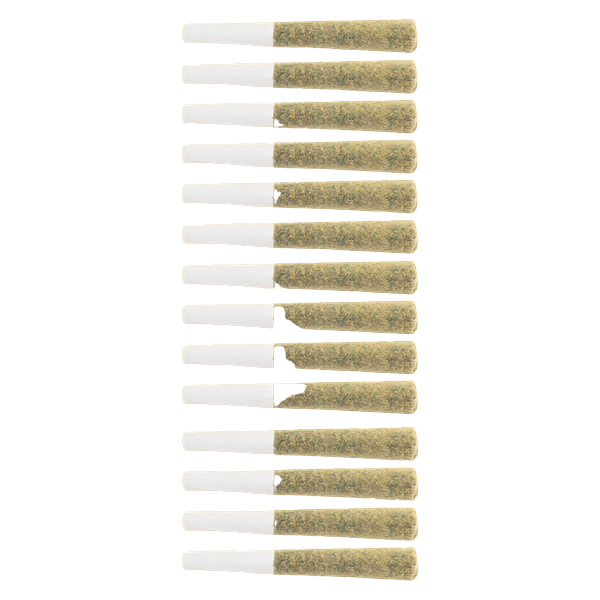 The Loud Plug - Platinum Punch Pre Roll