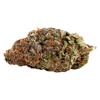 Qwest - White Walker Craft Whole Flower