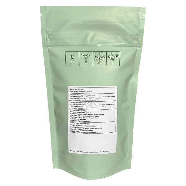 Qwest - White Walker Craft Whole Flower