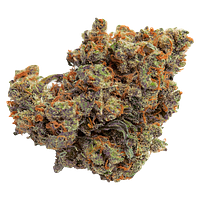 Qwest - Lazer Jet Craft Whole Flower