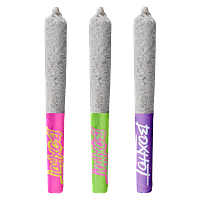 BOXHOT - Diamond Doobies Deluxe - Trifecta Infused Pre-Roll