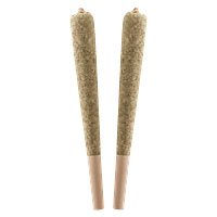 Standard Issue - Strawberry Lemonade Infused Pre Roll