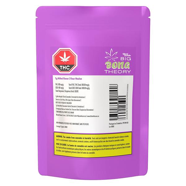 Handy Dandies - Big Bong Theory image 2