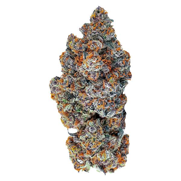 Tenzo - Espresso Gelato image 1