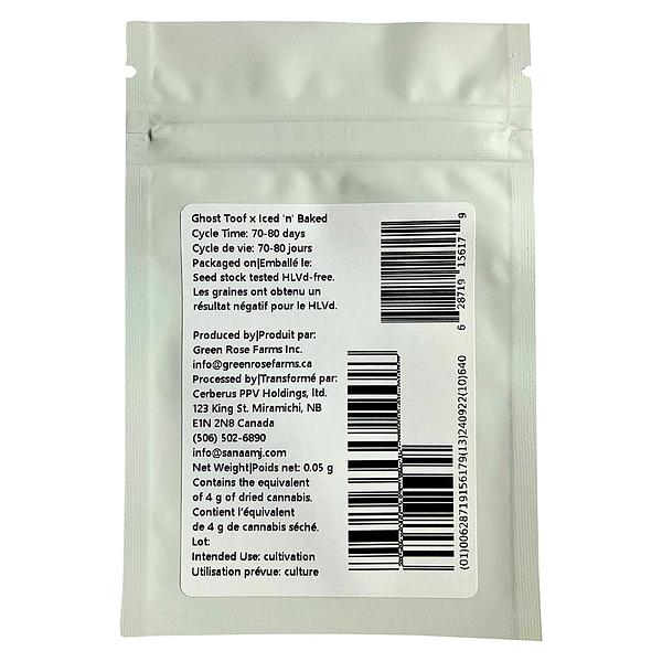 Green Rose Seeds - 41 Ghosts (auto Fem Seeds) image 4