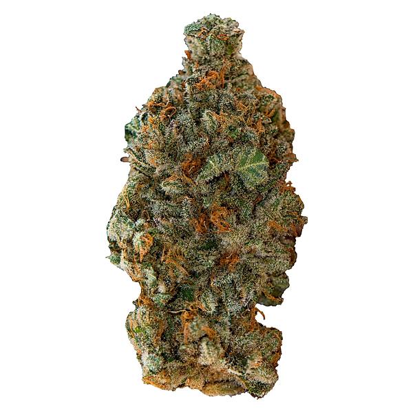 Versus - Gsc (Girl Scout Cookies) image 1