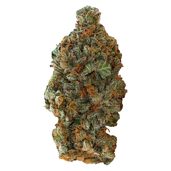 Versus - Gsc (Girl Scout Cookies) image 3
