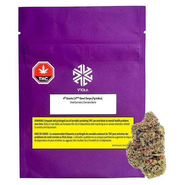 Viola - 4th Quarter (Indica) image 4