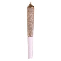 Potluck - Mango Dream Pre Roll