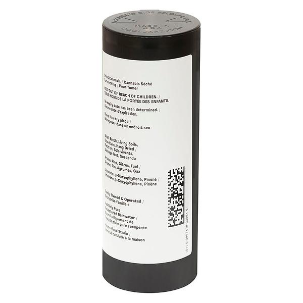 Good Buds - Gluerangutan