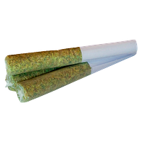 True Fire - Blackout Gas Pre Roll