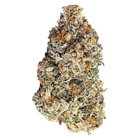 BLK MKT - Britscotti