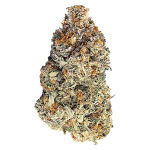 BLK MKT - Britscotti