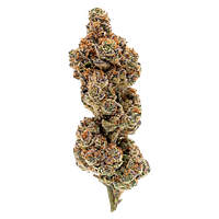 Overtime - Punch Out