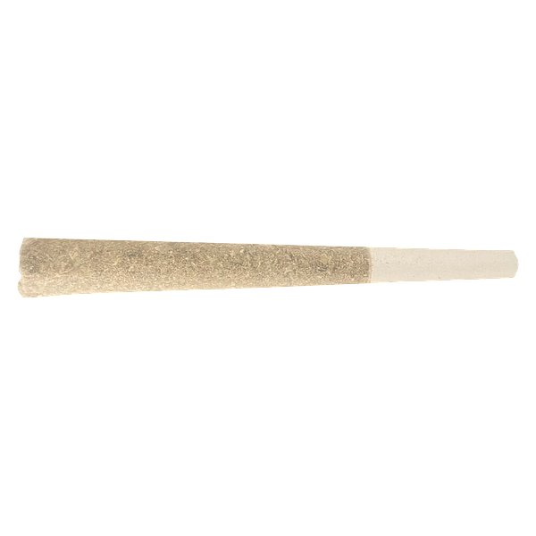 Ivory - Rotating - Pre-Roll