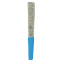 SlurpZ - Blueberry Double Infused Pre-Roll