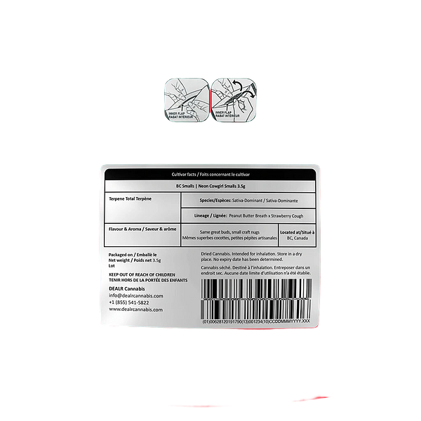 BC Smalls - Neon Cowgirl Smalls