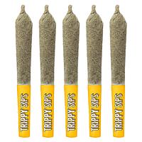 Trippy Sips - Caribbean Crush Kief Coated Infused Pre Roll