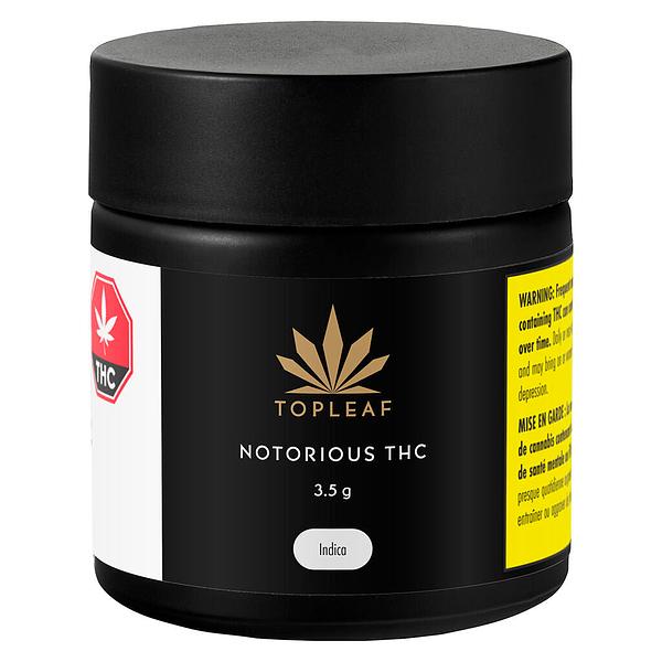Top Leaf - Notorious THC image 2