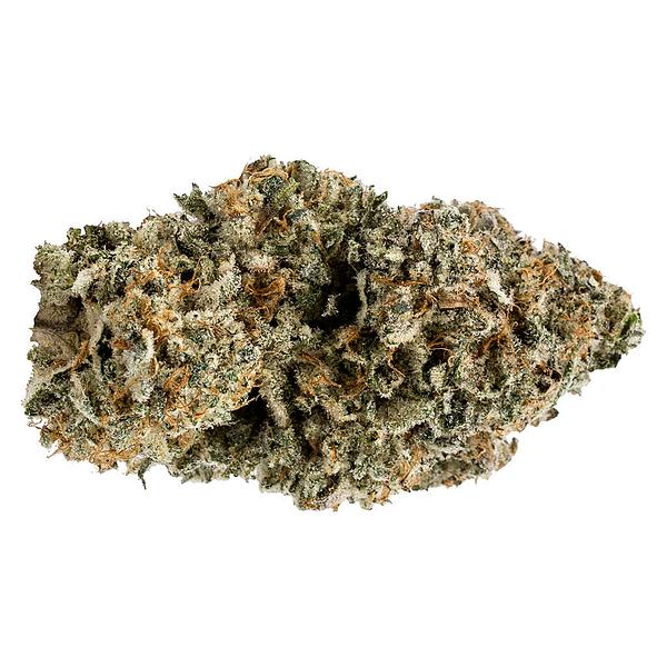 VOLO - Orange Turp image 1