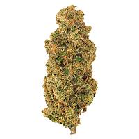 Mendo Select - Roadkill Skunk