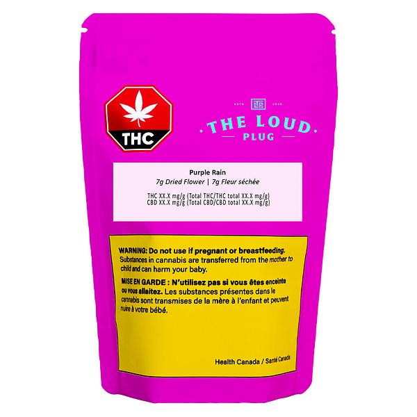 The Loud Plug - Purple Rain image 2