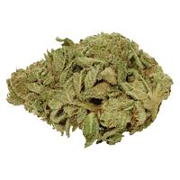 Pure Laine - Big Pleasures Sativa