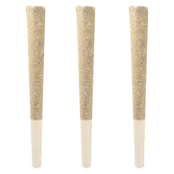 Ivory - Platinum Glow Pre-Roll
