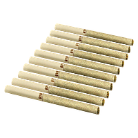 Back Forty - Backpackers Pre-Roll - Lemon Diesel