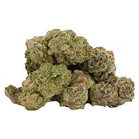 Castle Rock Farms - Glitterbomb X Rainbow Cheddar #5