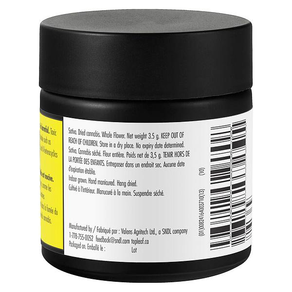 Top Leaf - Alaskan TF image 3