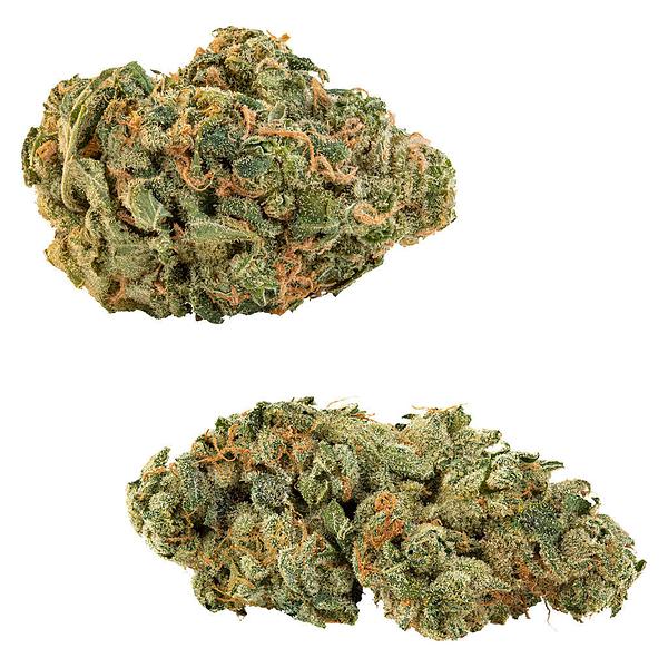 Big Bag O' Buds - Comboz: Ultra Sour + Tropical Cookies image 1