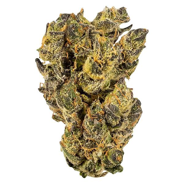 WINK - Citrus Tsunami image 1