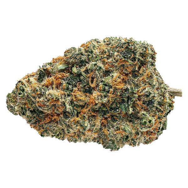 Soar - Biscotti Squeeze image 1