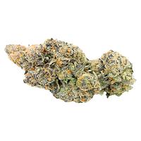 Sitka Legends - White Hot Guava