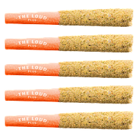 The Loud Plug - Lemon Glto Infused Pre Roll