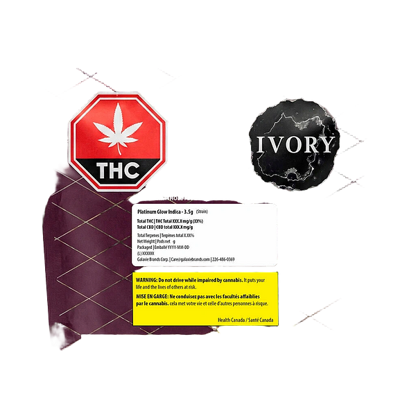 Ivory - Platinum Glow