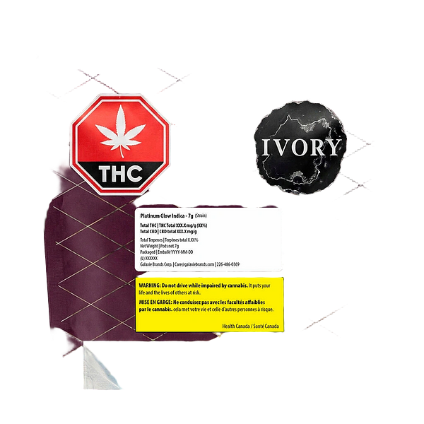 Ivory - Platinum Glow