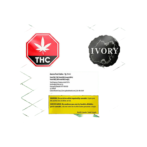 Ivory - Aurora Frost