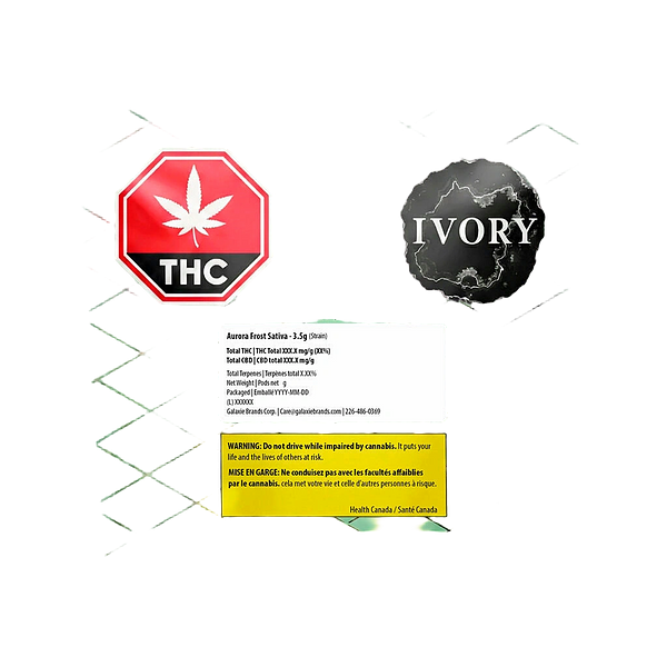 Ivory - Aurora Frost