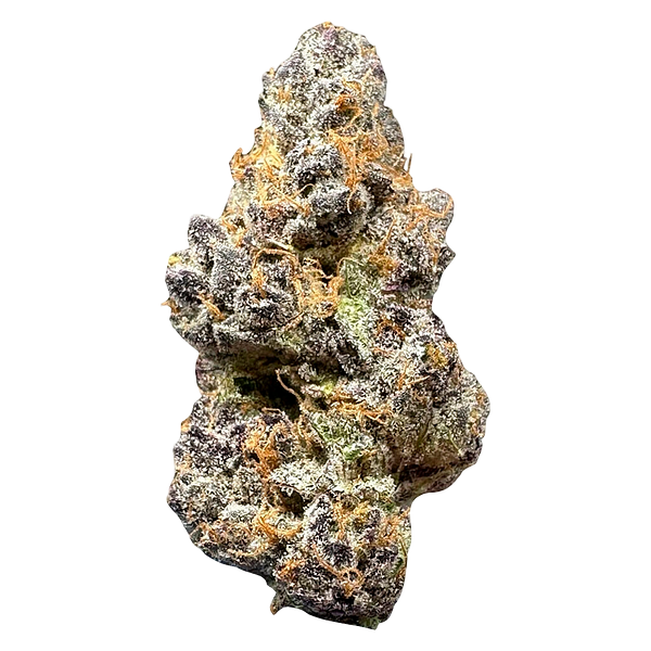 Space Bros - Tropic Fuel