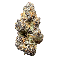 Space Bros - Tropic Fuel