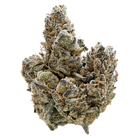 Nugz - Florida Oranges