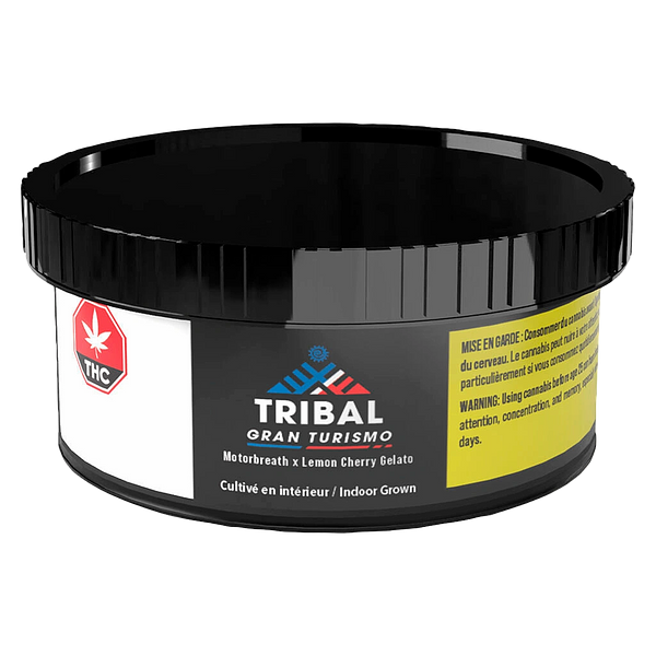 Tribal - Gran Turismo