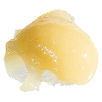 Drop Culture by SUGR - Gas Leak