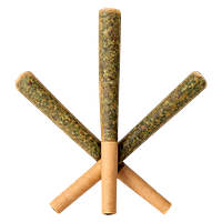 Sauce Rosin Labs - Sauce Slim-Bitz Live Rosin Infused Pre-Roll