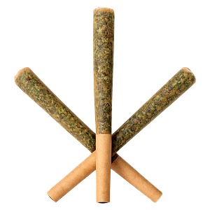 Sauce Rosin Labs - Sauce Slim-Bitz Live Rosin Infused Pre-Roll