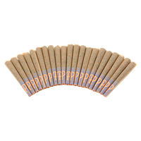 Purple Hills - Gelato 41 Pre-Roll