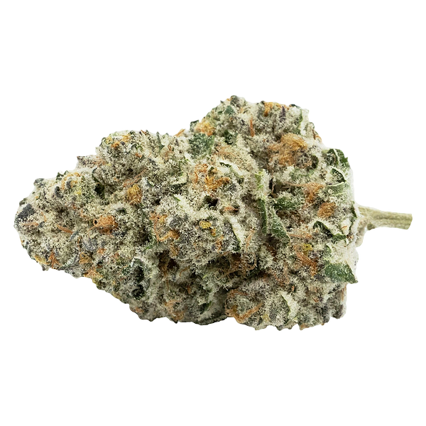 Encore - Back Stage Pass Sativa