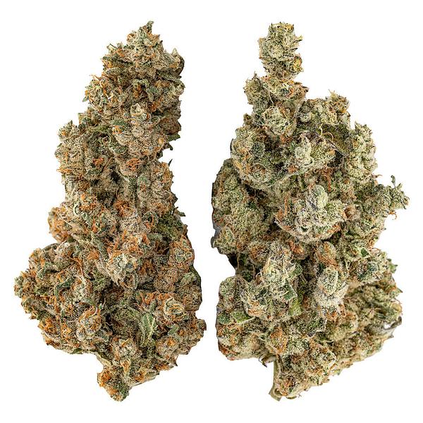 Highly Dutch - Organic Butter Cookies x Organic NYC Juggernaut image 1